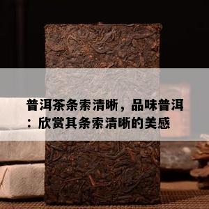 普洱茶条索清晰，品味普洱：欣赏其条索清晰的美感