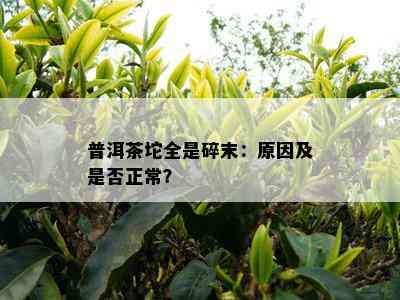 普洱茶坨全是碎末：起因及是不是正常？