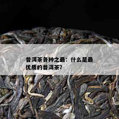 普洱茶各种之最：什么是更优质的普洱茶？