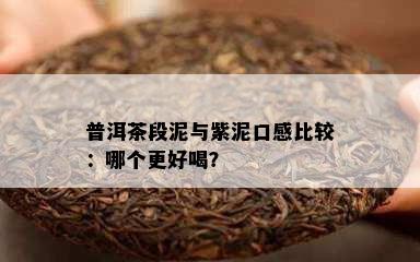 普洱茶段泥与紫泥口感比较：哪个更好喝？