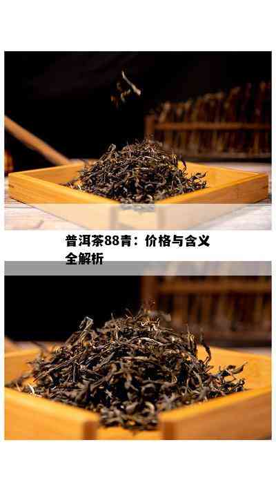 普洱茶88青：价格与含义全解析