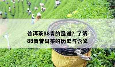 普洱茶88青的是谁？熟悉88青普洱茶的历史与含义