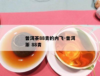 普洱茶88青的内飞-普洱茶 88青