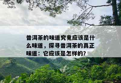 普洱茶的味道究竟应该是什么味道，探寻普洱茶的真正味道：它应该是怎样的？