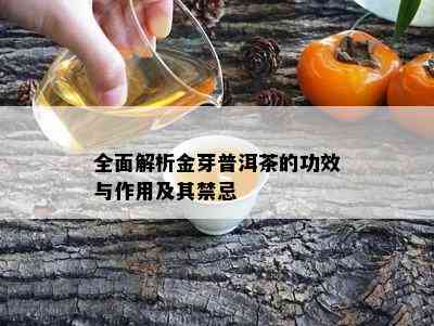 全面解析金芽普洱茶的功效与作用及其禁忌