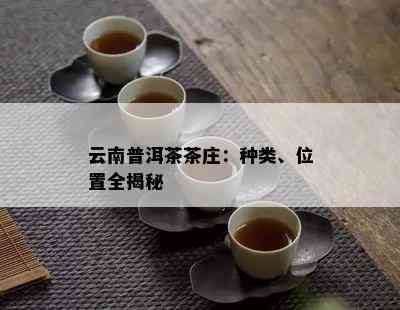 云南普洱茶茶庄：种类、位置全揭秘