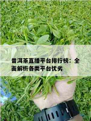 普洱茶直播平台排行榜：全面解析各类平台优劣