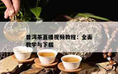 普洱茶直播视频教程：全面教学与下载