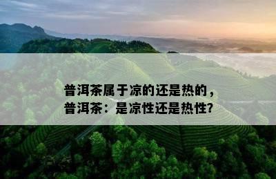 普洱茶属于凉的还是热的，普洱茶：是凉性还是热性？