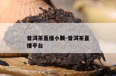 普洱茶直播小颗-普洱茶直播平台