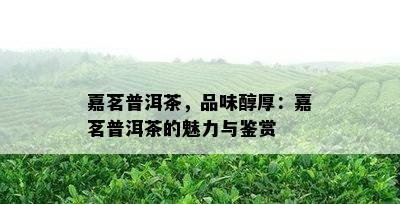 嘉茗普洱茶，品味醇厚：嘉茗普洱茶的魅力与鉴赏