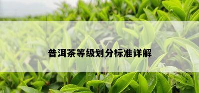 普洱茶等级划分标准详解