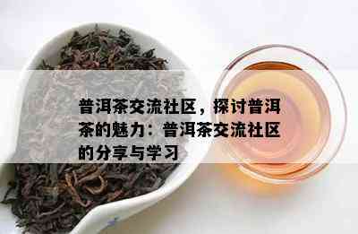 普洱茶交流社区，探讨普洱茶的魅力：普洱茶交流社区的分享与学习