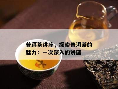 普洱茶讲座，探索普洱茶的魅力：一次深入的讲座