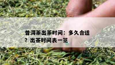 普洱茶出茶时间：多久合适？出茶时间表一览