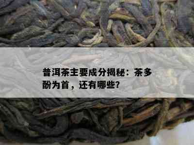 普洱茶主要成分揭秘：茶多酚为首，还有哪些？