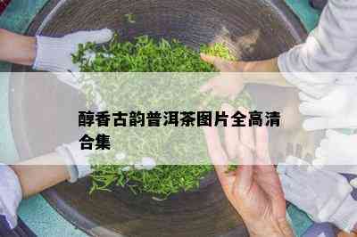 醇香古韵普洱茶图片全高清合集