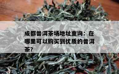 成都普洱茶场地址查询：在哪里可以购买到优质的普洱茶？