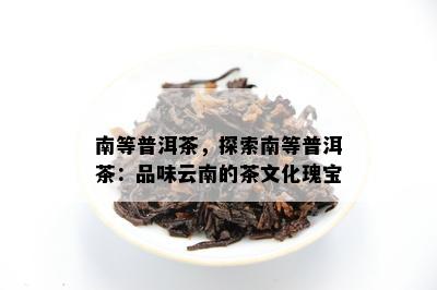 南等普洱茶，探索南等普洱茶：品味云南的茶文化瑰宝