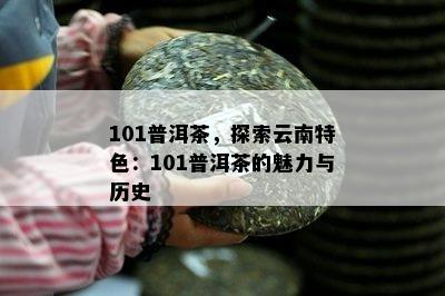 101普洱茶，探索云南特色：101普洱茶的魅力与历史