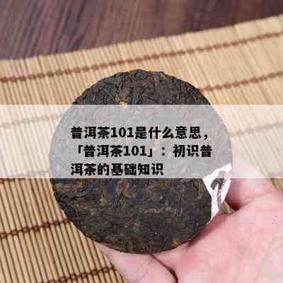 普洱茶101是什么意思，「普洱茶101」：初识普洱茶的基础知识