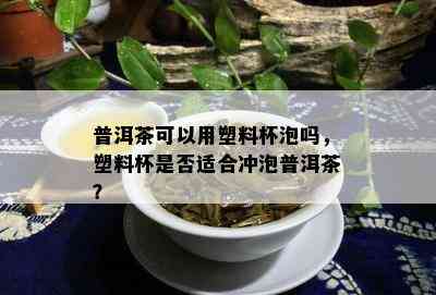 普洱茶可以用塑料杯泡吗，塑料杯是否适合冲泡普洱茶？