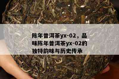 陈年普洱茶yx-02，品味陈年普洱茶yx-02的特别韵味与历史传承