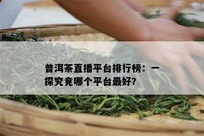 普洱茶直播平台排行榜：一探究竟哪个平台更好？