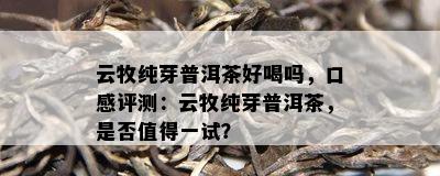 云牧纯芽普洱茶好喝吗，口感评测：云牧纯芽普洱茶，是不是值得一试？