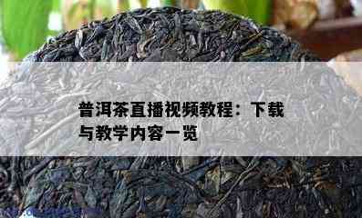 普洱茶直播视频教程：下载与教学内容一览