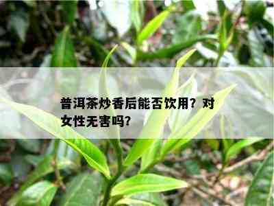 普洱茶炒香后能否饮用？对女性无害吗？