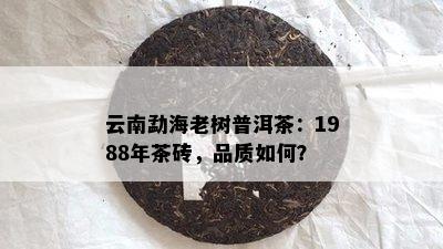 云南勐海老树普洱茶：1988年茶砖，品质如何？