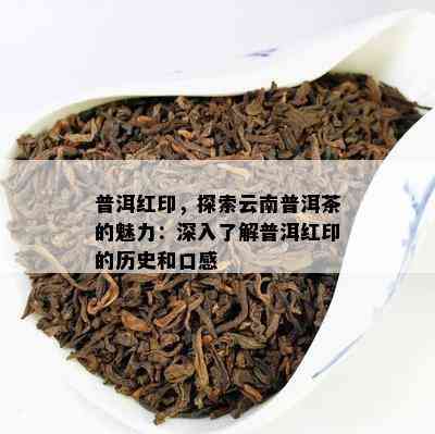 普洱红印，探索云南普洱茶的魅力：深入熟悉普洱红印的历史和口感