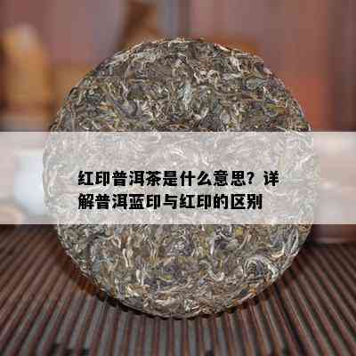 红印普洱茶是什么意思？详解普洱蓝印与红印的区别