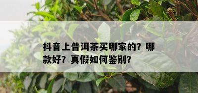 抖音上普洱茶买哪家的？哪款好？真假如何鉴别？