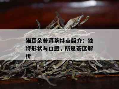 猫耳朵普洱茶特点简介：独特形状与口感，所属茶区解析