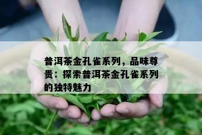 普洱茶金孔雀系列，品味尊贵：探索普洱茶金孔雀系列的特别魅力