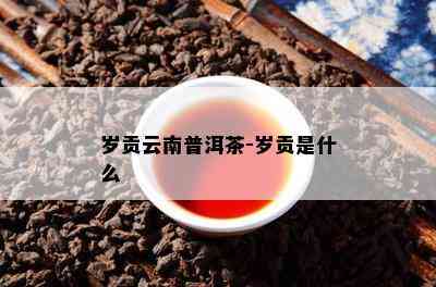 岁贡云南普洱茶-岁贡是什么