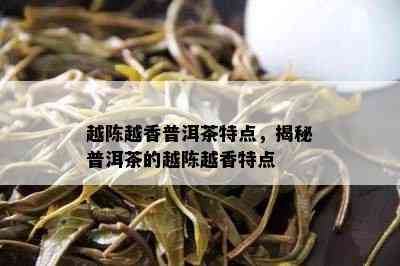 越陈越香普洱茶特点，揭秘普洱茶的越陈越香特点