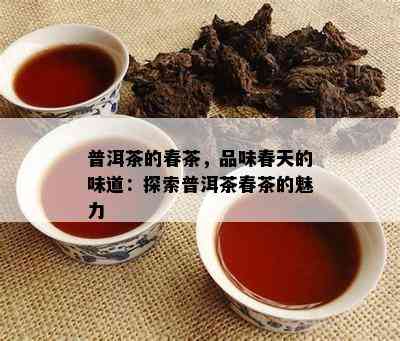 普洱茶的春茶，品味春天的味道：探索普洱茶春茶的魅力