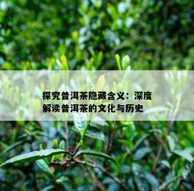 探究普洱茶隐藏含义：深度解读普洱茶的文化与历史