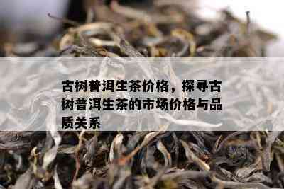 古树普洱生茶价格，探寻古树普洱生茶的市场价格与品质关系