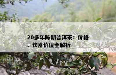 20多年陈期普洱茶：价格、饮用价值全解析