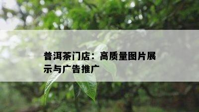 普洱茶门店：高品质图片展示与广告推广