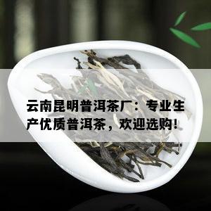 云南昆明普洱茶厂：专业生产优质普洱茶，欢迎选购！