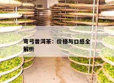 弯弓普洱茶：价格与口感全解析