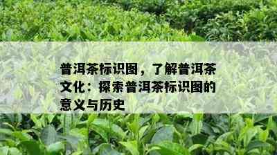 普洱茶标识图，熟悉普洱茶文化：探索普洱茶标识图的意义与历史