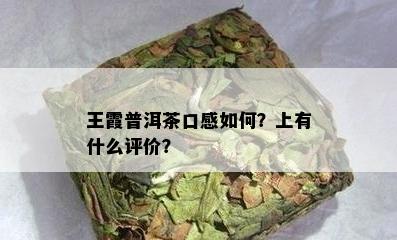 王霞普洱茶口感怎样？上有什么评价？