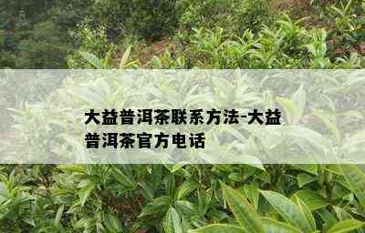 大益普洱茶联系方法-大益普洱茶官方电话