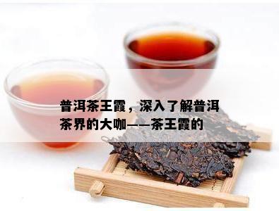 普洱茶王霞，深入熟悉普洱茶界的大咖——茶王霞的